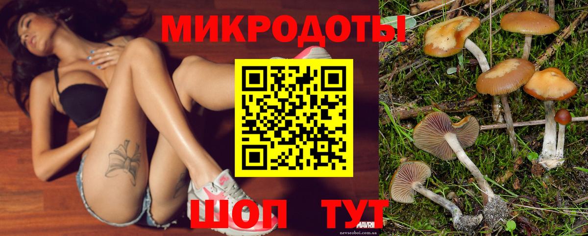 где купить наркоту  Галлюциногенные грибы GOLDEN TEACHER  Вход с VPN  Ревда 